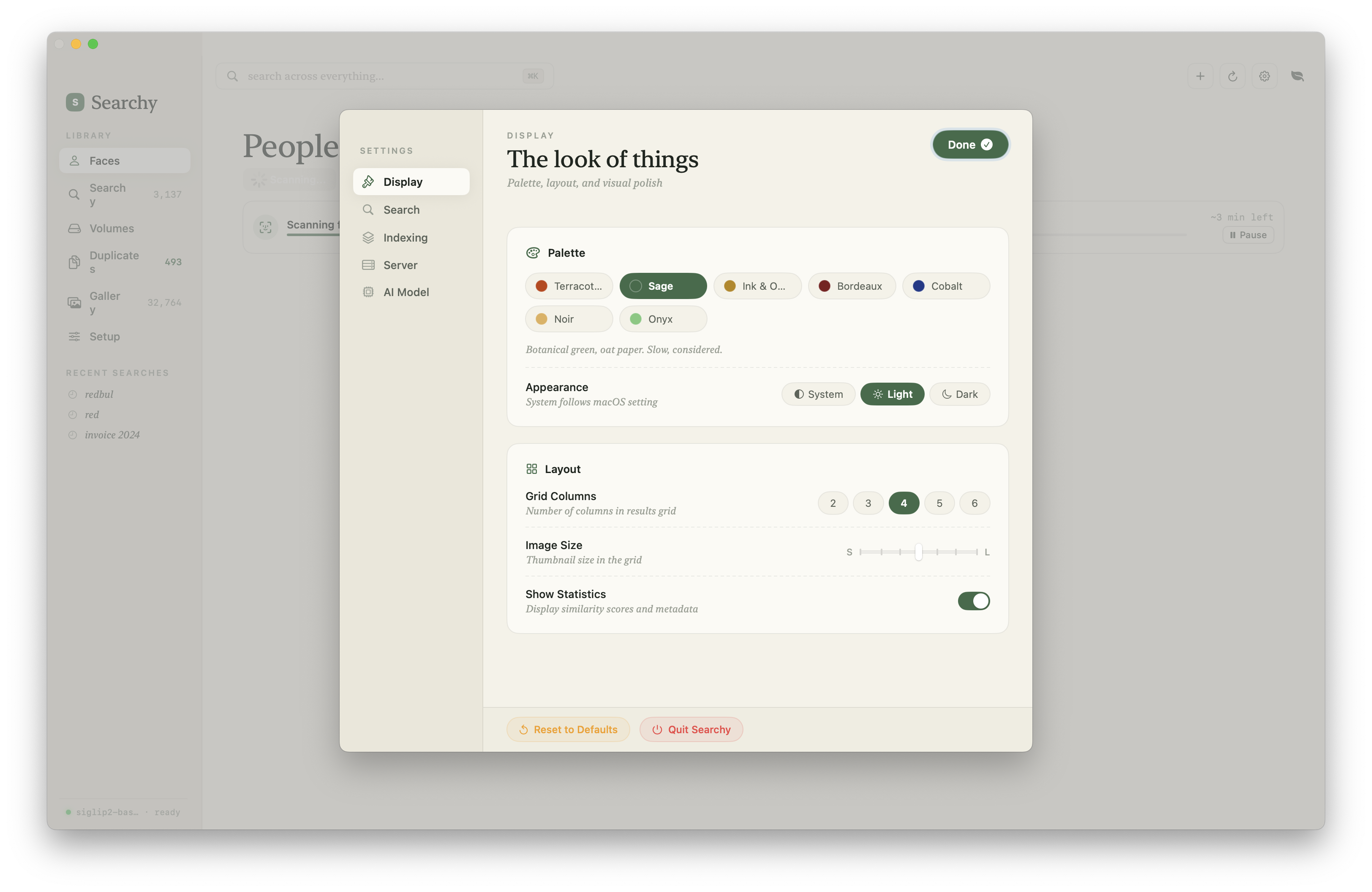 Searchy display settings with palette, appearance, grid columns, image size, and statistics controls