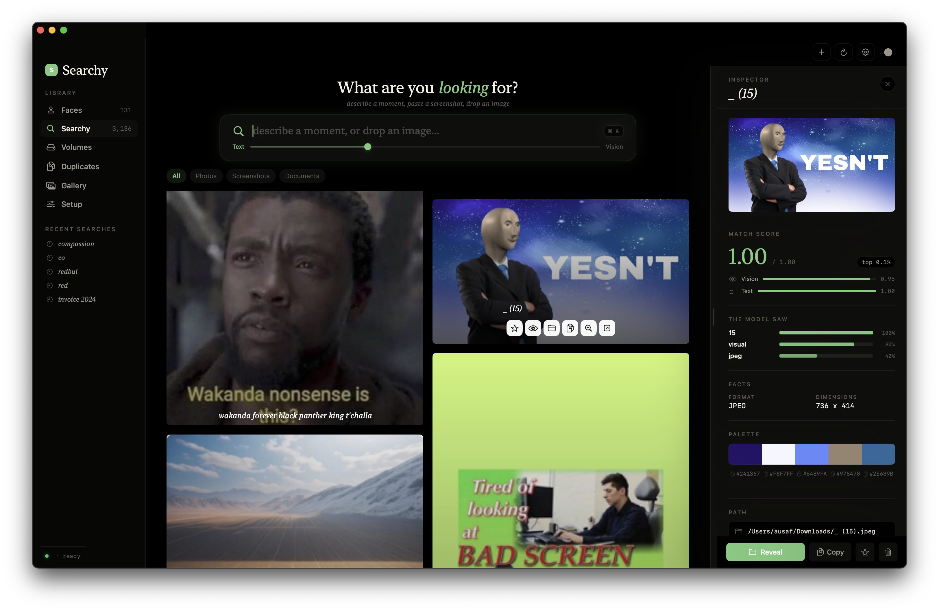 Searchy dark mode interface showing the app in a darker visual theme